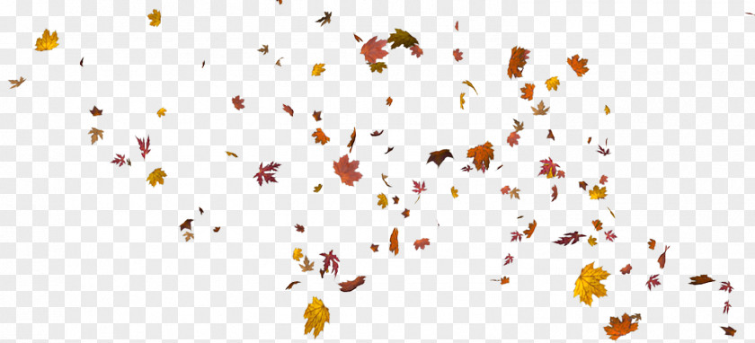 Autumn Leaves Leaf Download PNG