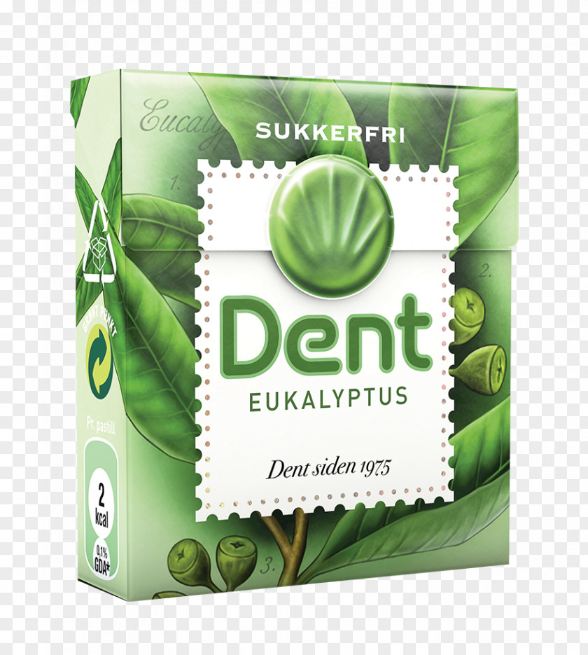 Chewing Gum Pastille Trees Sukkerfri Tooth PNG
