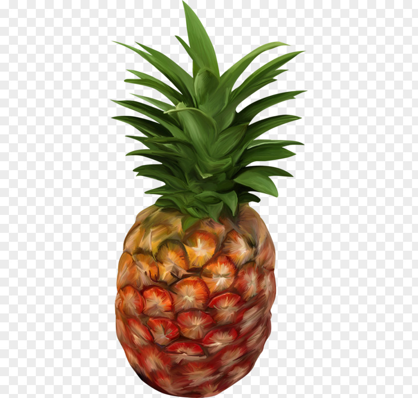 Hand-painted Pineapple Pizza English Fruit Tupi PNG