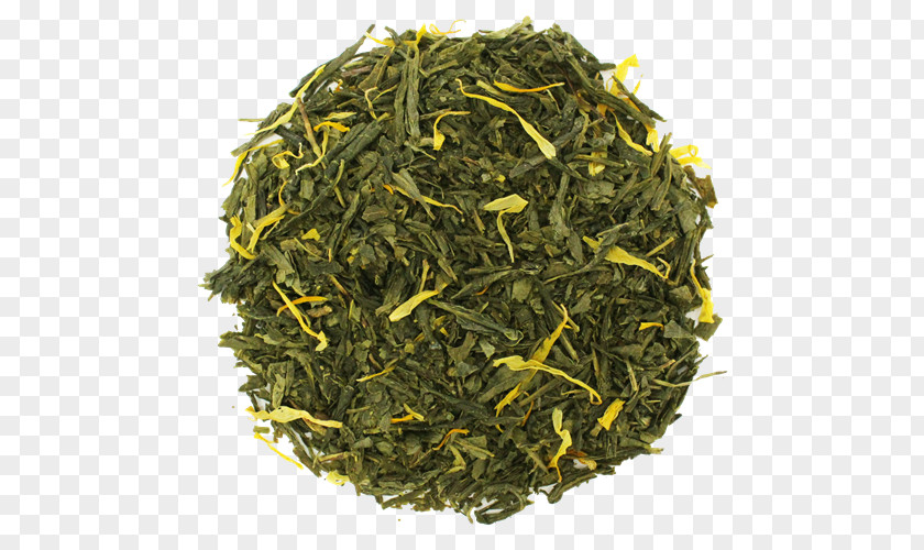 Tea Gyokuro Nilgiri Genmaicha Sencha PNG