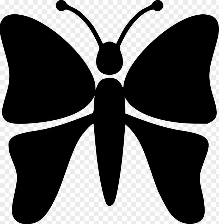 Butterfly Brush-footed Butterflies Vector Graphics Silkworm Insect PNG