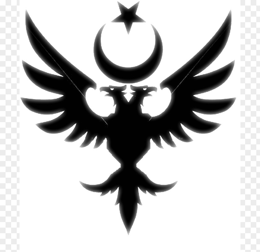 Eagle Double-headed Symbol Meaning Flag Of Albania PNG