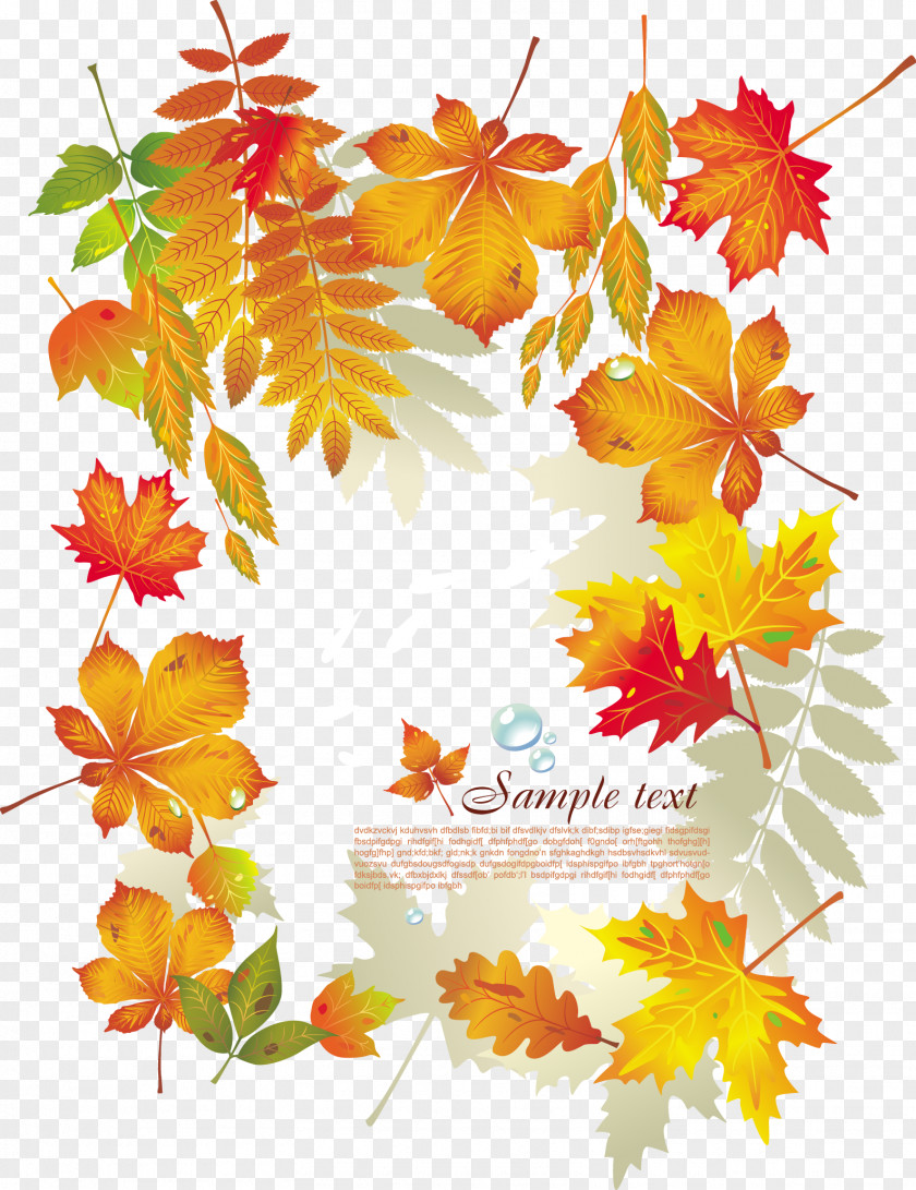 Fall Leaf Euclidean Vector Computer File PNG