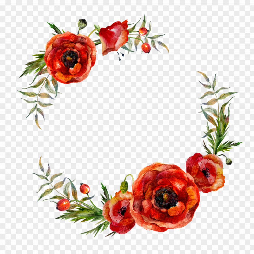 Flower Garlands Poppy Flowers Watercolor Painting PNG