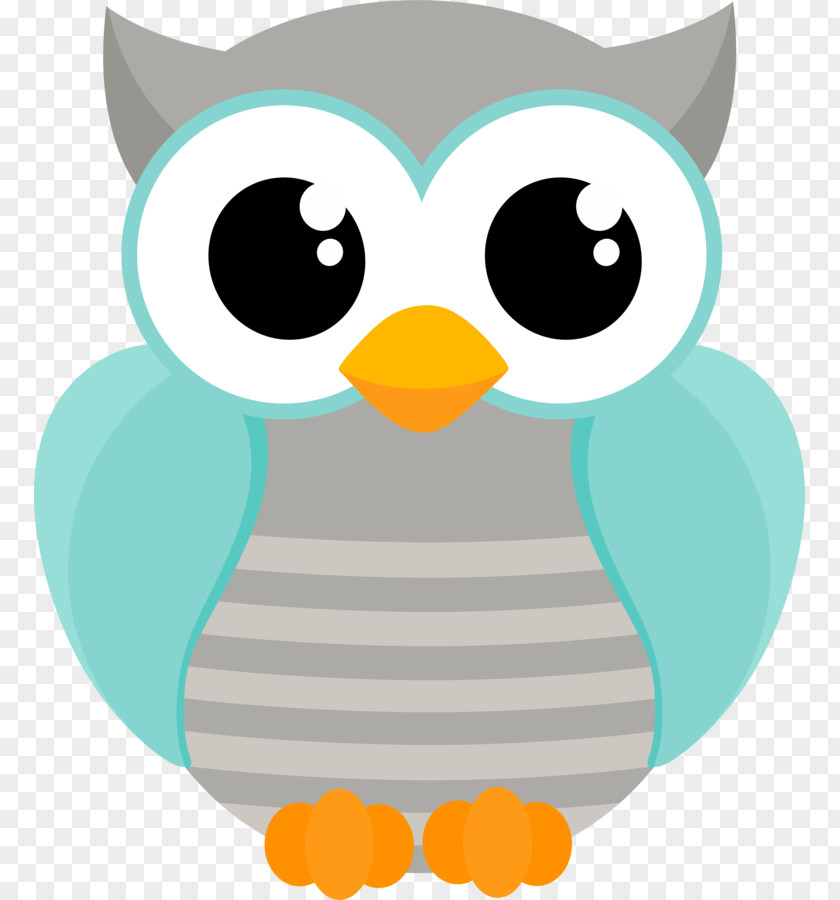 Owl Clip Art Drawing Image PNG