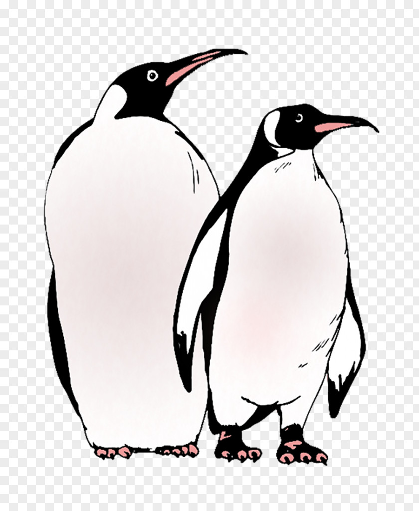 Penguin The Emperor Coloring Book PNG