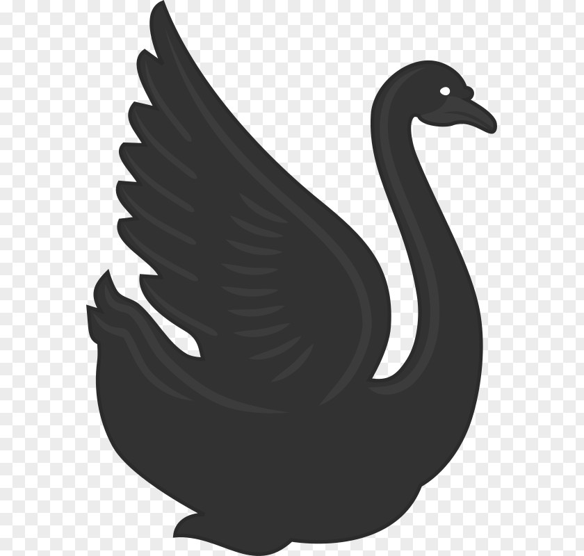 Swan Lake Duck Cygnini Goose Bird Clip Art PNG