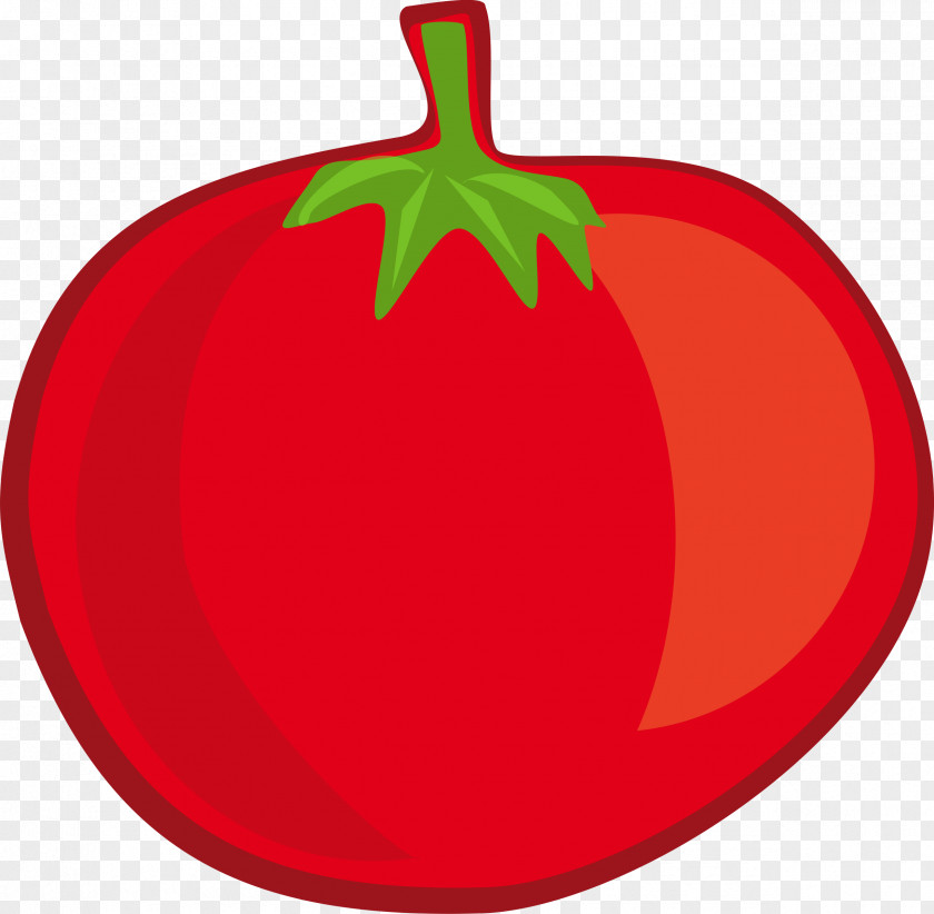 Vector Pepper Vegetable Fruit Clip Art PNG
