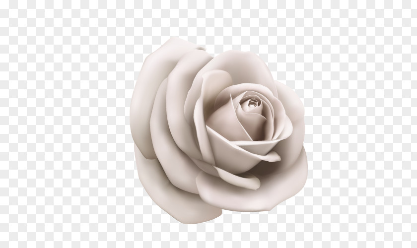 Vector White Rose Paper Illustration PNG