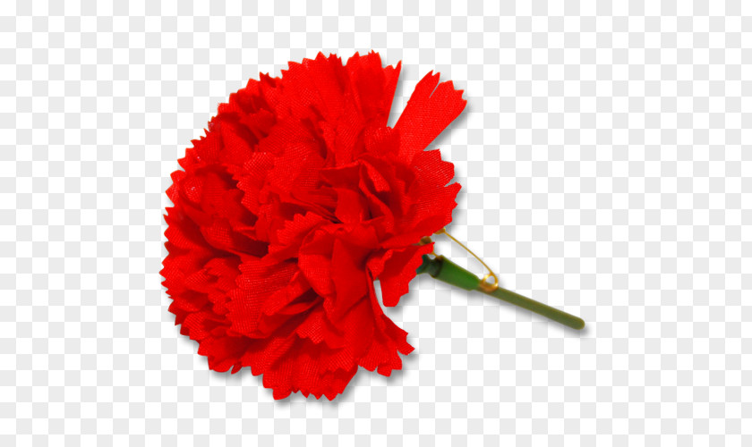 Carnation The Left Socialism International Workers' Day Strike Action PNG
