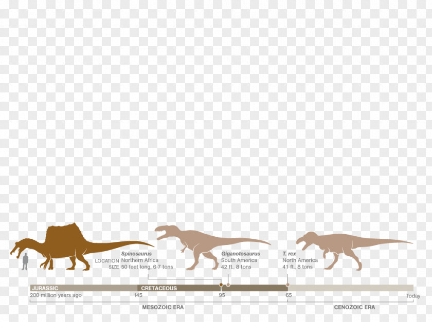 Carnivores Spinosaurus Giganotosaurus Dopo Questo Lungo Viaggio Horse Apex Predator PNG
