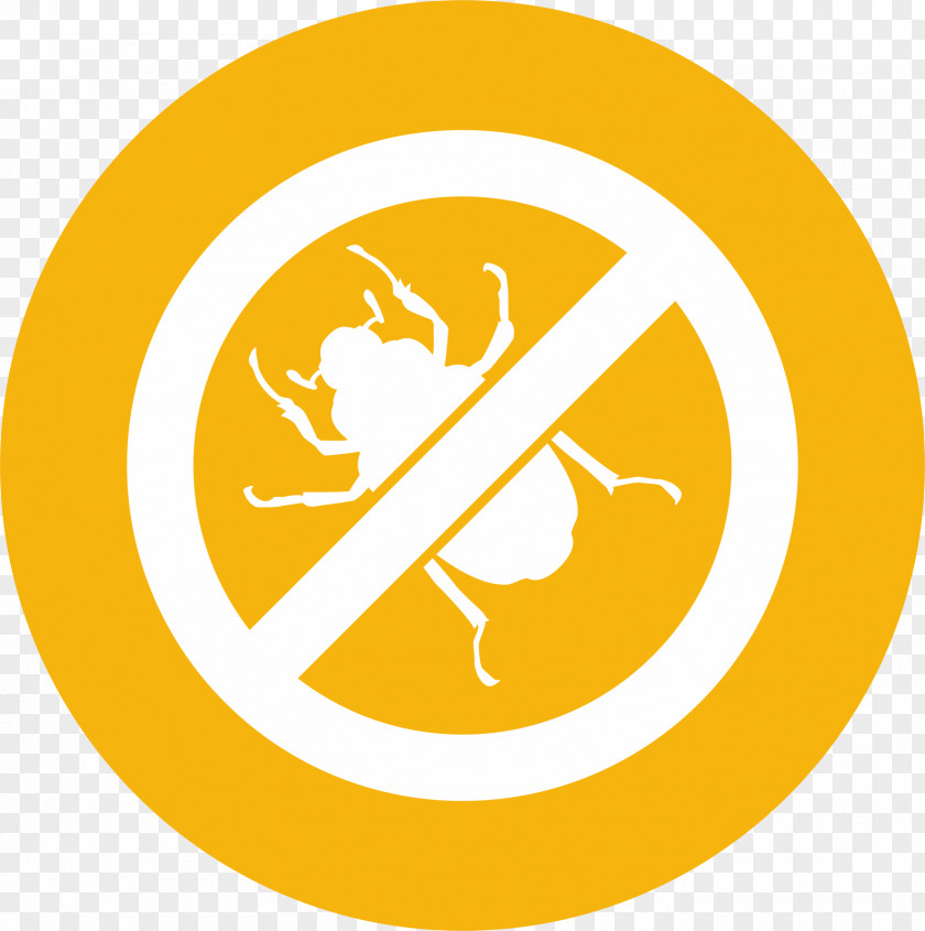 Cockroach PNG