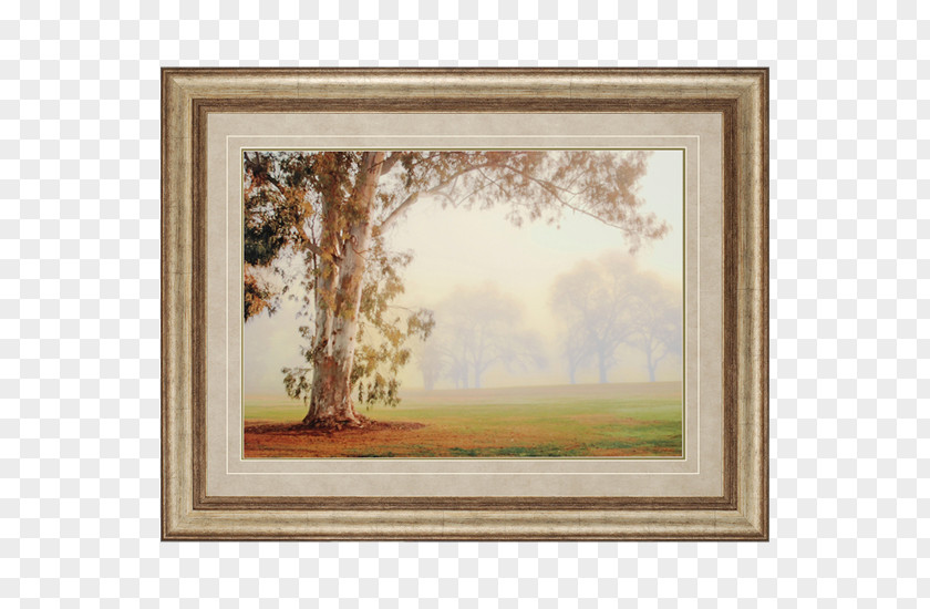 Eucalyptus Picture Frames Window Watercolor Painting Art Printing PNG