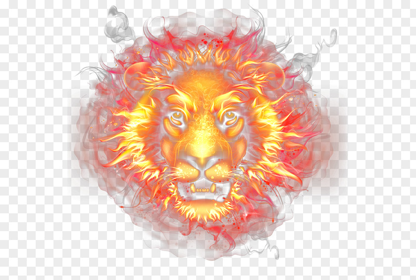 Lion Light Flame Combustion PNG