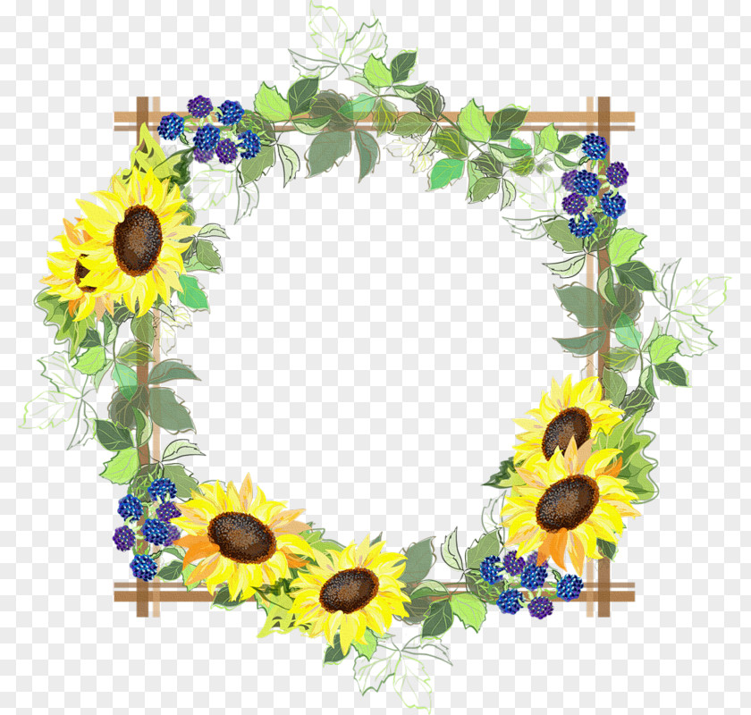 Picture Frames Paper Common Sunflower PNG