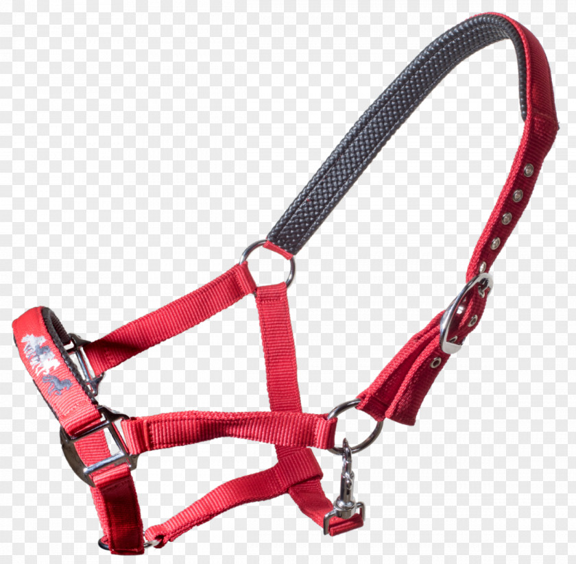 Rope Icelandic Horse Karlslund Nylon Halter Rein PNG