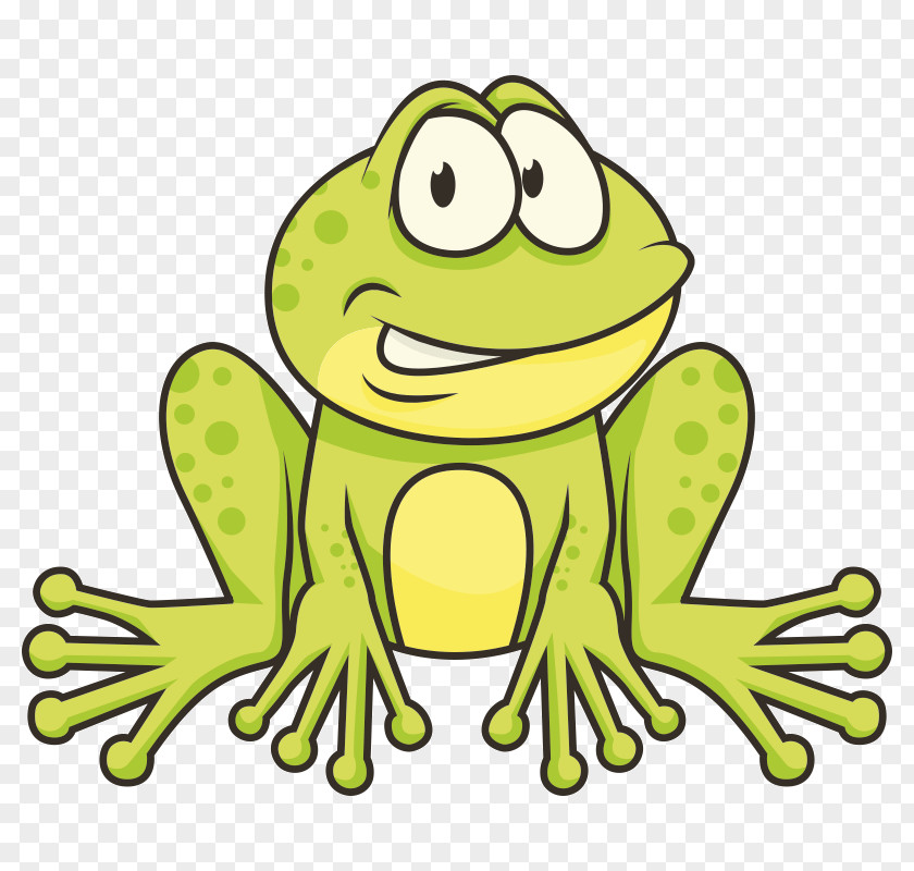Toad Edible Frog True PNG