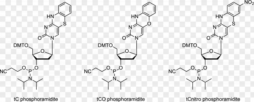 4aminopyridine Phosphoramidite Adenine Oligonucleotide Synthesis Guanine PNG
