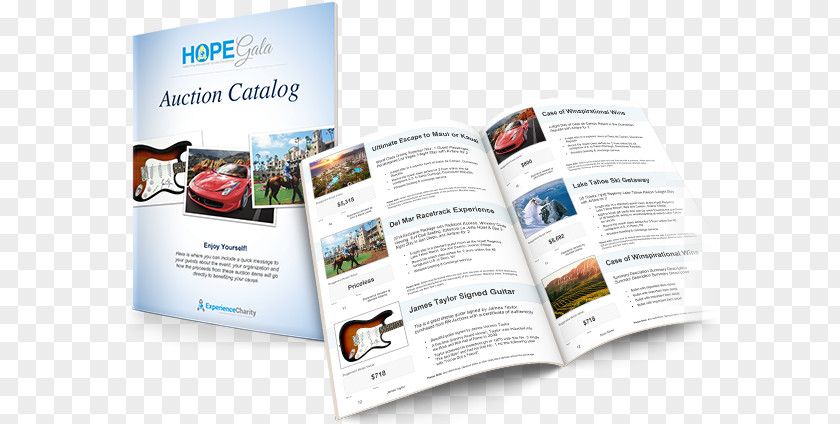 Business Brochure Template Auction Catalog Flyer PNG