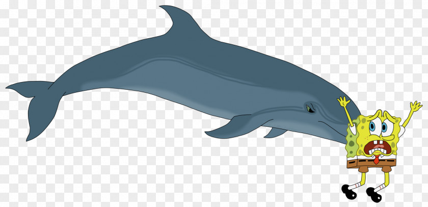 Dolphin Common Bottlenose The Southern Right Whale Clip Art PNG