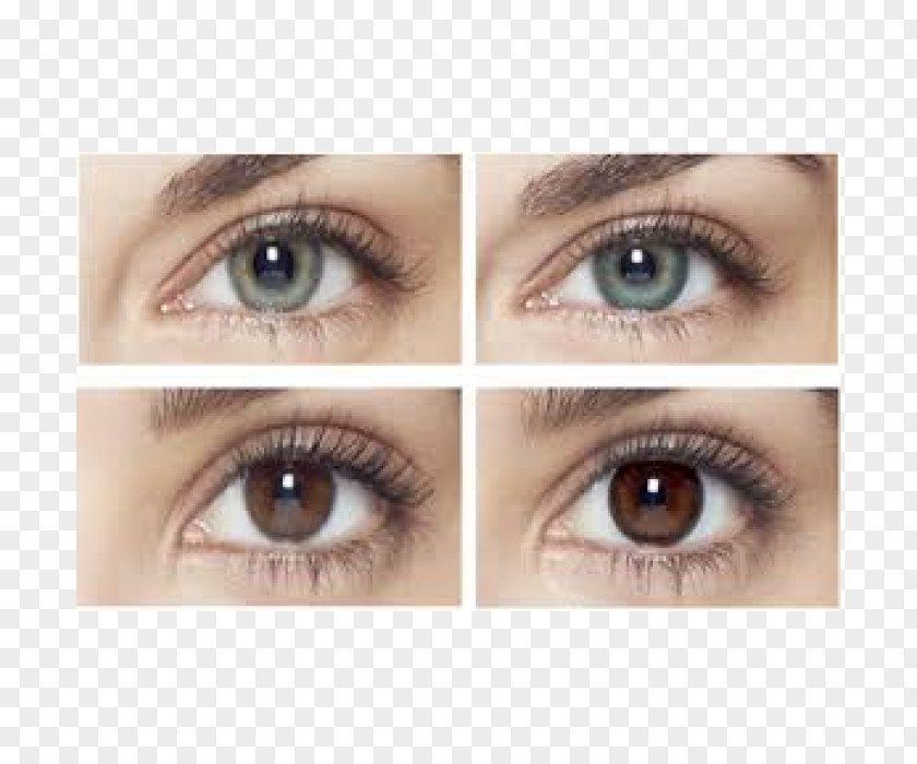 Eye Wear Contact Lenses 1-Day Acuvue Define Circle Lens PNG