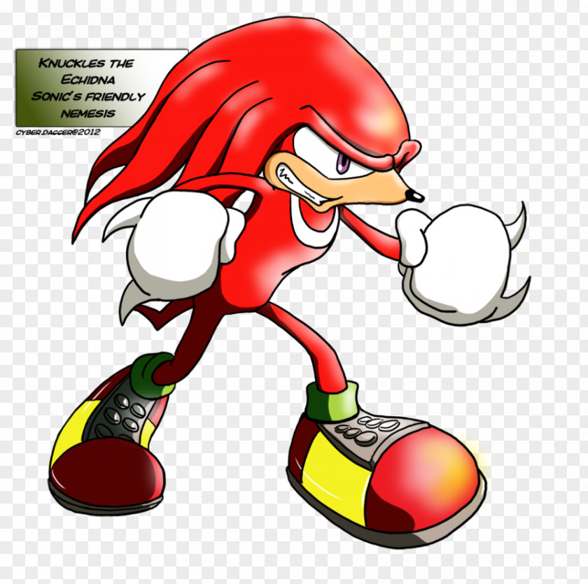 Knuckles The Echidna Rouge Bat Sonic X-treme Drawing Blaze Cat PNG