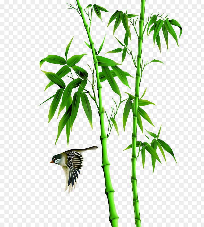Painting Bamboo Forest Bird-and-flower Icon PNG