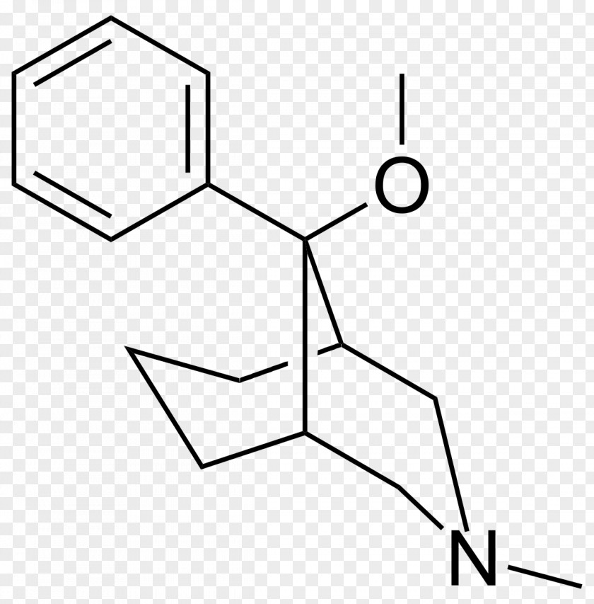 Teratogenees Functional Group Chemical Compound Amine Methyl Atom PNG