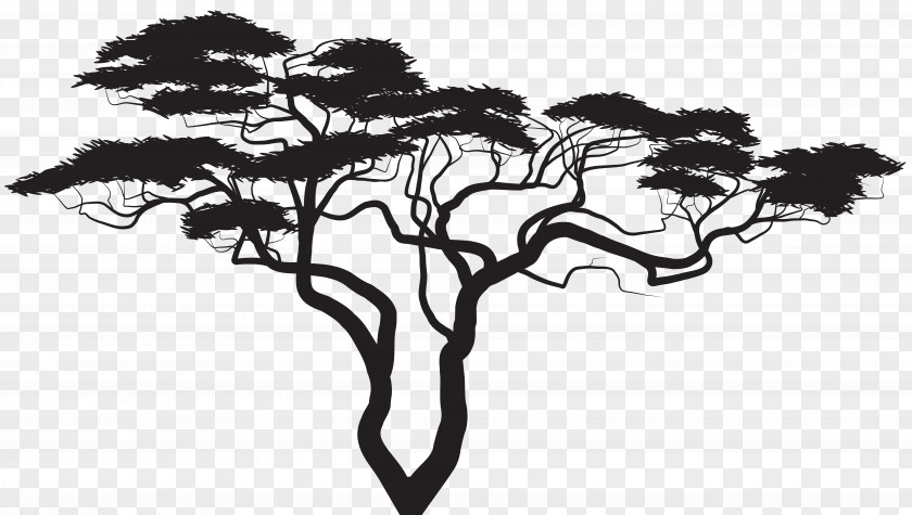 Exotic Tree Silhouette Clip Art Image Royalty-free PNG