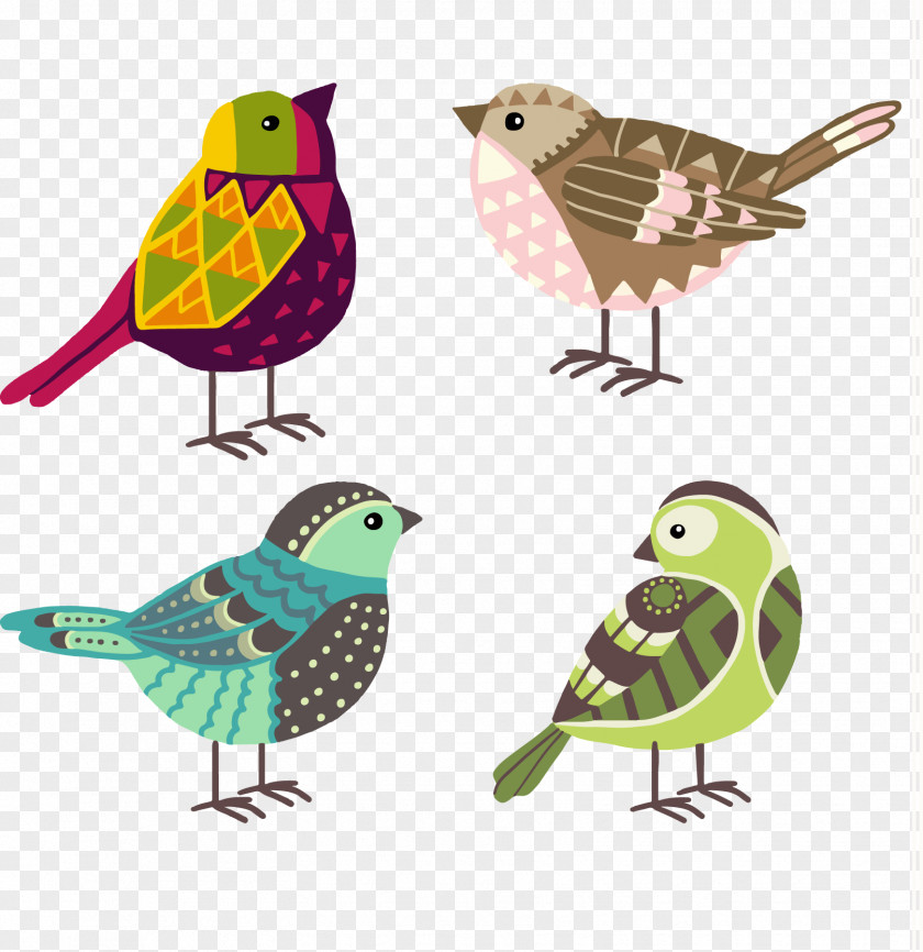 Vector Birds Discover Euclidean PNG