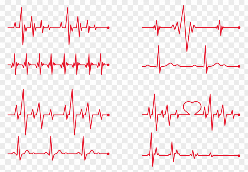 Vector Red Heart Beat Rate Electrocardiography PNG