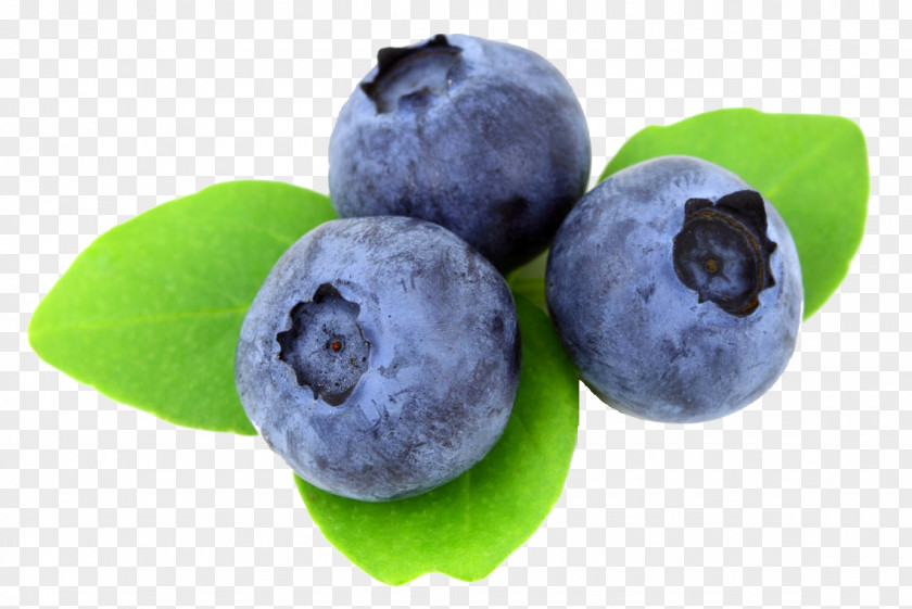 Berry Juice Blueberry Muffin Desktop Wallpaper PNG