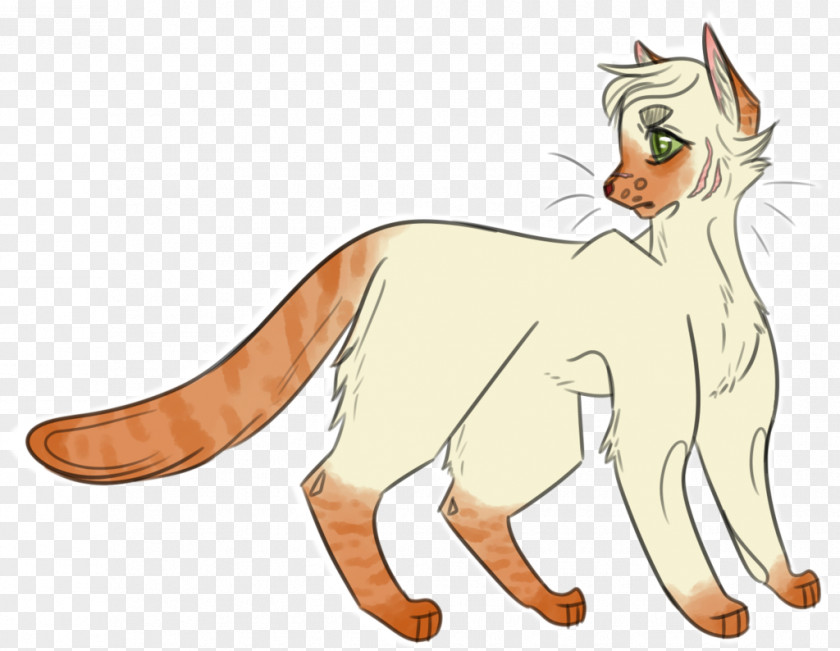 Cat Whiskers Lion Red Fox Dog PNG