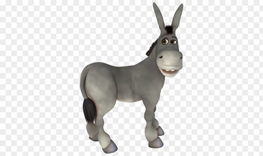 Donkey Photography Aasi PNG
