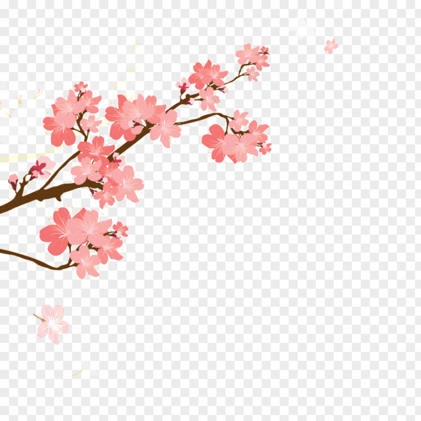 Ellipse Watermark Johnsonville Middle School Japan Image Floral Design PNG