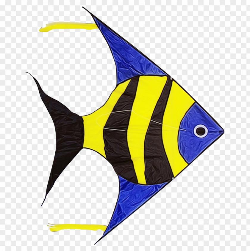 Fish Line Science Biology PNG