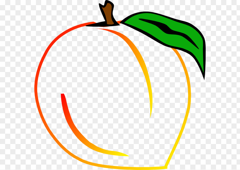 Peach Fruit Clip Art PNG