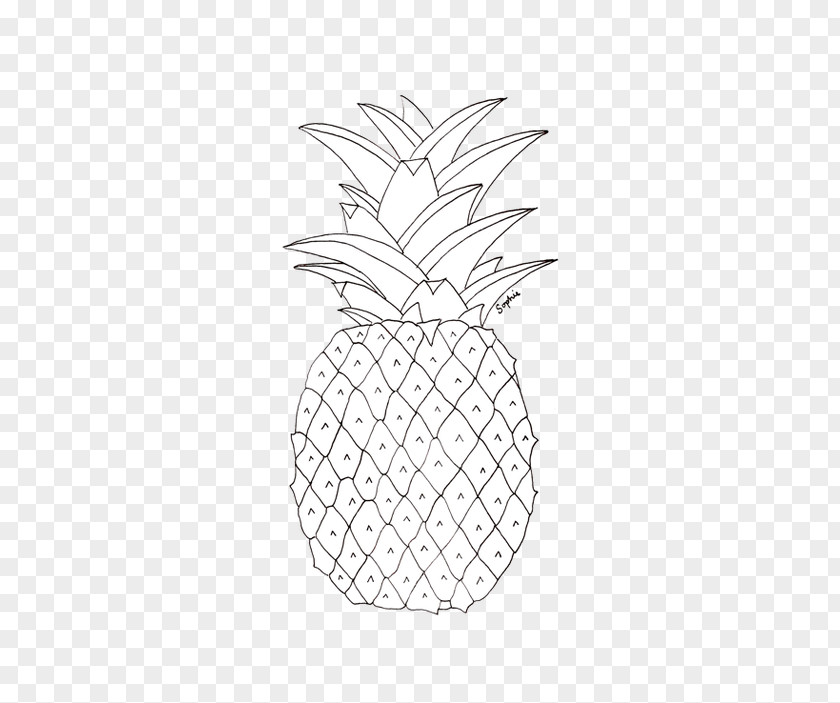 Pineapple Cuts Drawing Juice PNG