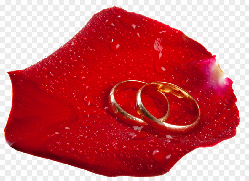 Romantic Love Wedding Ring Marriage PNG