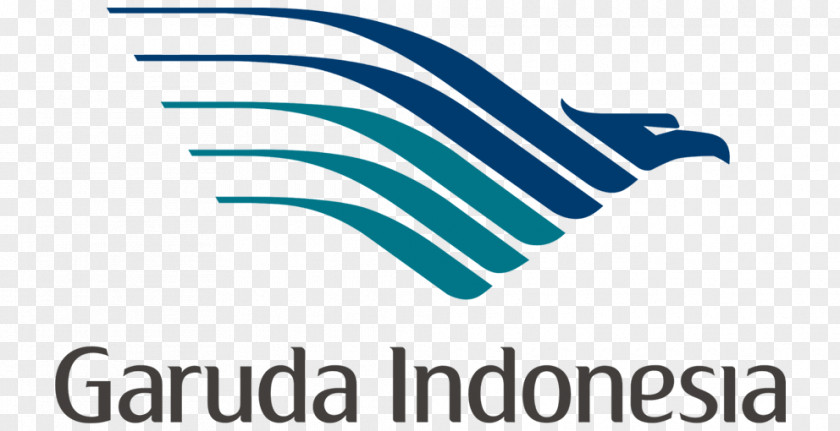 Airplane Garuda Indonesia Flight Airbus A330 PNG