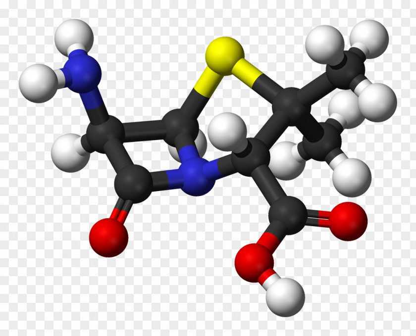 Benzylpenicillin Ampicillin Antibiotics Phenoxymethylpenicillin PNG