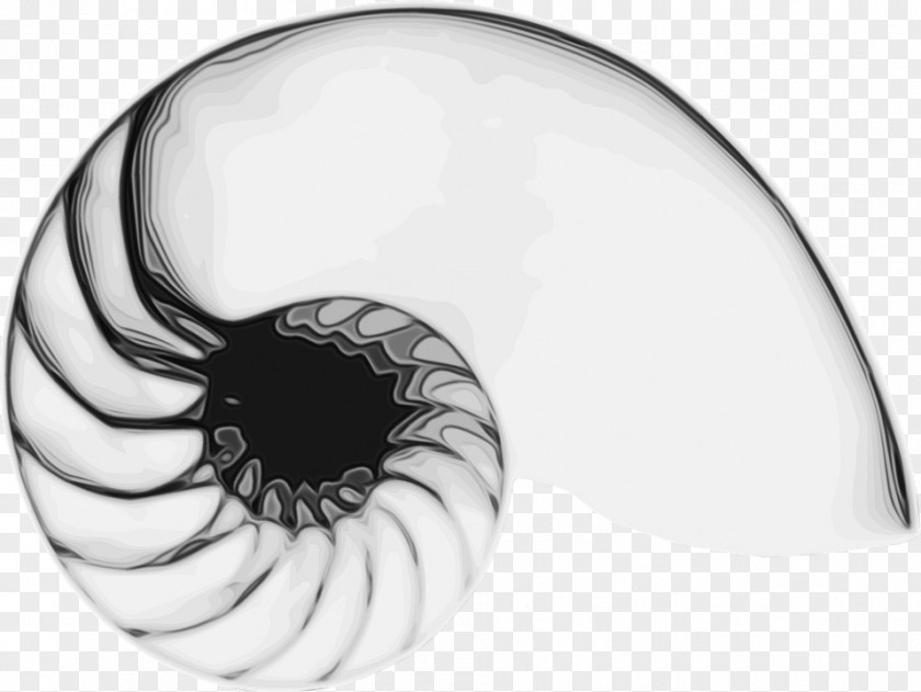 Blackandwhite Nautilus Eye Cartoon PNG