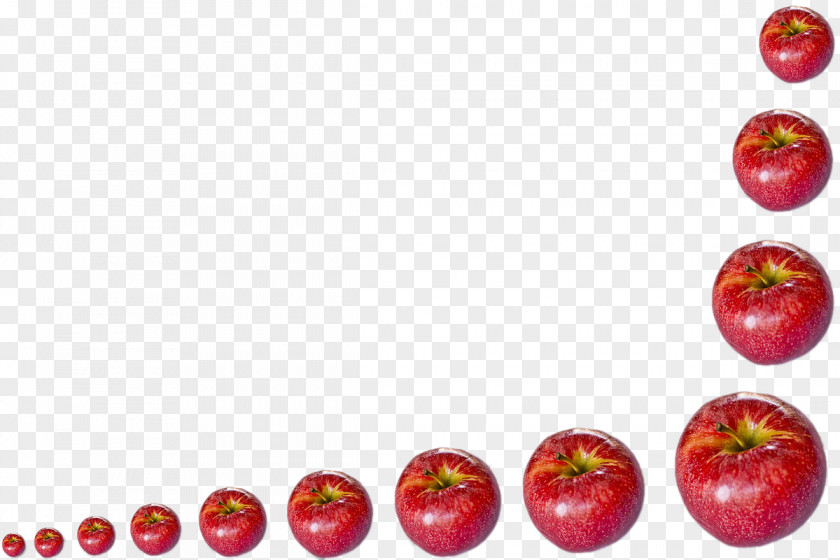 Christmas Eve Apple Strawberry Fruit Auglis PNG