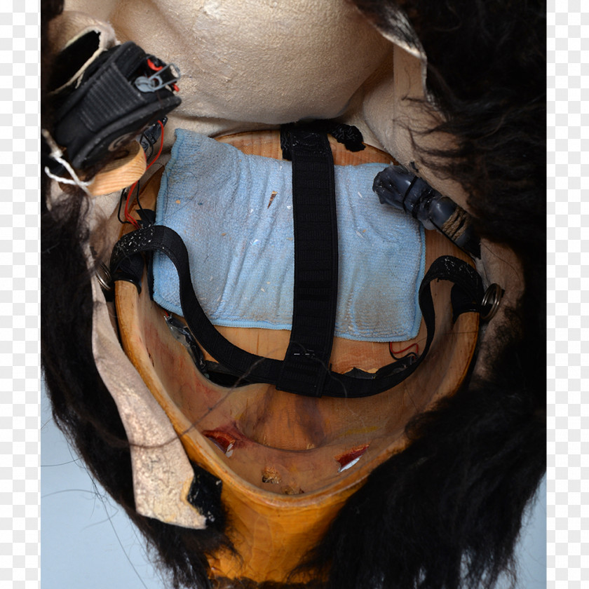 Horse Tack Snout PNG