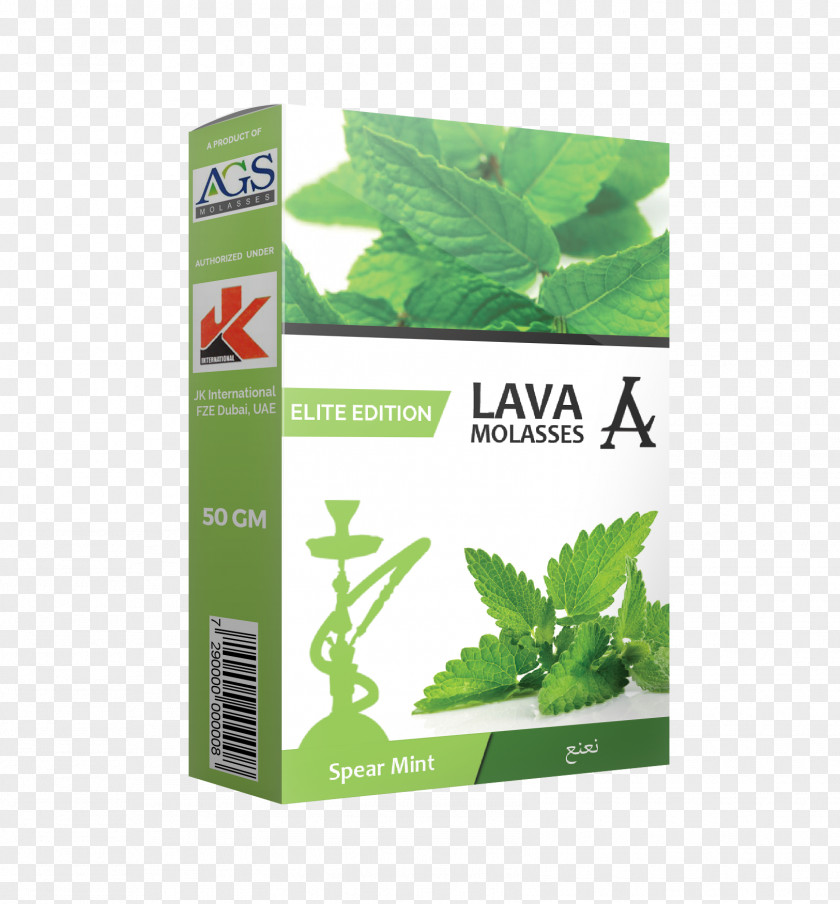 Leaf Herb Health Organic Food Peppermint PNG