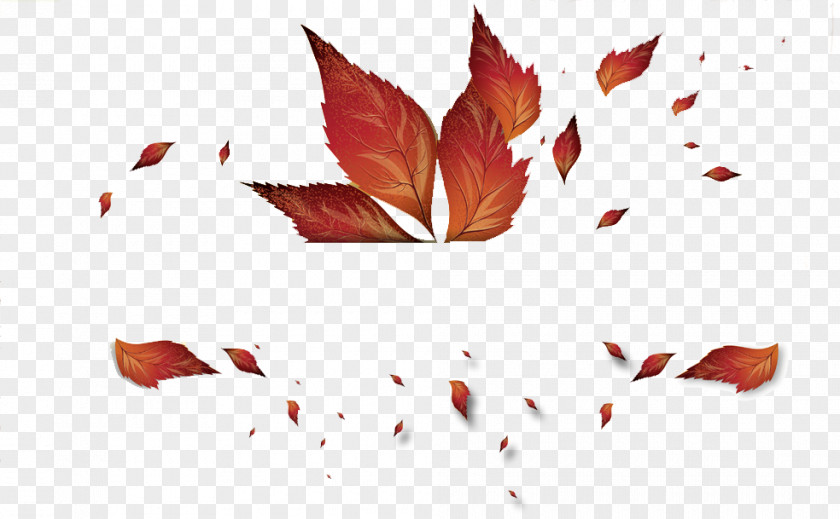 Autumn Leaves Leaf Color Clip Art PNG