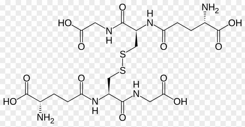 Binding Glutathione Disulfide Redox S-Nitrosoglutathione PNG