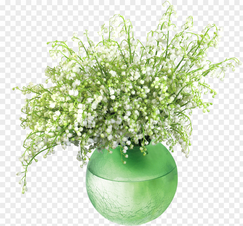 Lily Of The Valleyin Vase PNG Clip Art Image Valley Lilly's Lilly Missionary Plant PNG