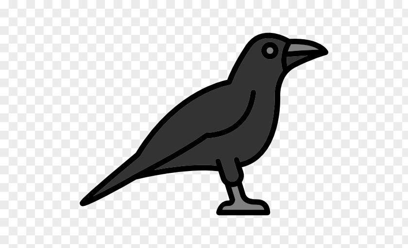 Raven Vector YouTube Clip Art PNG