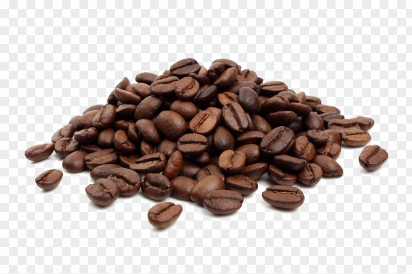 Coffee Beans Image Bean Cafe PNG